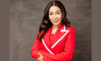 Zenith bank new CEO