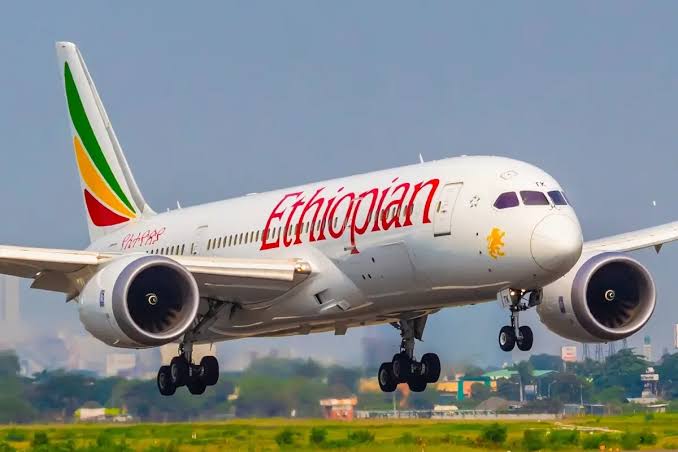 17690597669718830651568888082959